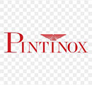 Pintiinox