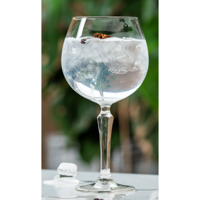 Бокалы из стекла набор 6 шт, Бокалы на ножке, Стеклянные бокалы SPKSY GIN&TONIC 585 мл