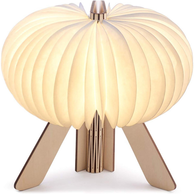 Настільна лампа на акумуляторі Gingko - "R Space Lamp"