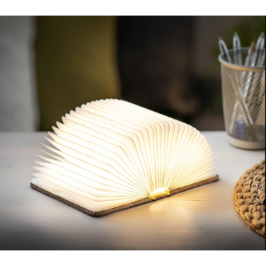 Світильник-книга на акумуляторі MINI URBAN Gingko (Англія), коричнева