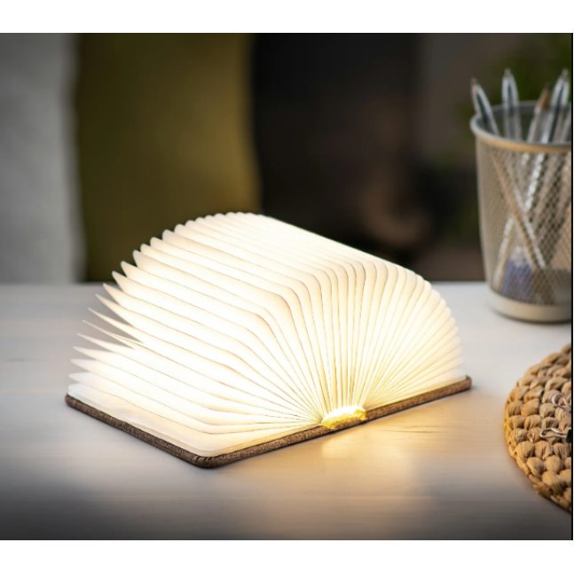 Світильник-книга на акумуляторі MINI URBAN Gingko (Англія), коричнева